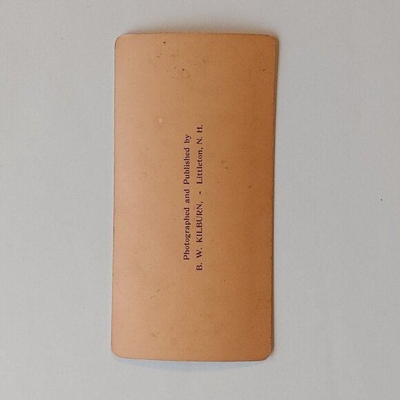 ANTIQUE STEREOGRAPH Card Library of Vatican Rome James M. Davis 1896 - Picture 5 of 5